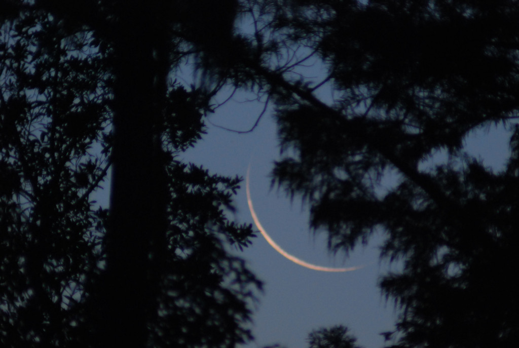 Old-Moon | Symbolon Intézet